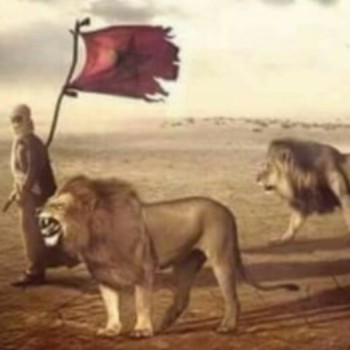 Profielfoto van tilly