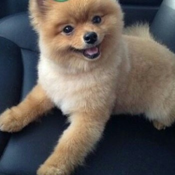 Profielfoto van klaasie