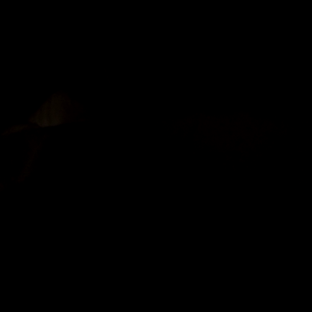 Profielfoto van boy22
