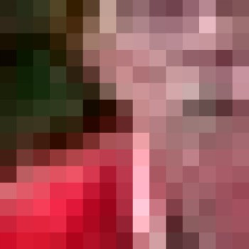 Profielfoto van venray62