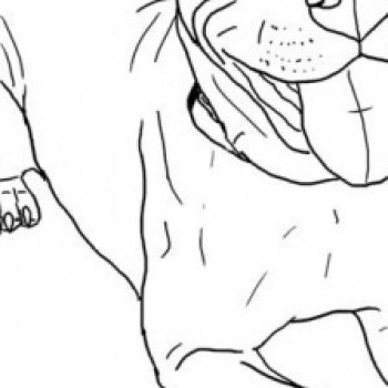 Profielfoto van Passoa45