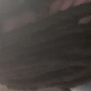 Profielfoto van marvin