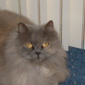 Profielfoto van utpftp