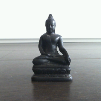 Profielfoto van noah