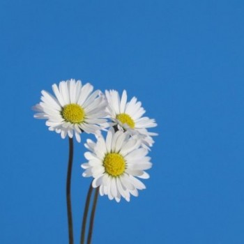 Profielfoto van Agnes