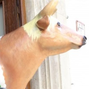 Profielfoto van Sjakie