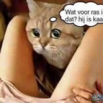 fb_img_1486123419037