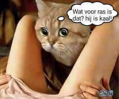 fb_img_1486123419037