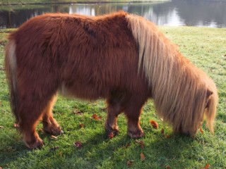 onze boris wat een schatje