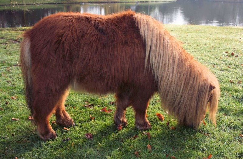 onze-boris-wat-een-schatje